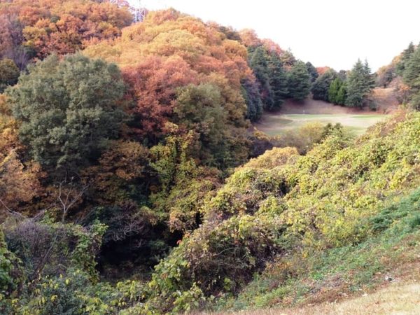 きさいちカントリークラブ 梅コース 3番ホール 谷越え ショートホール