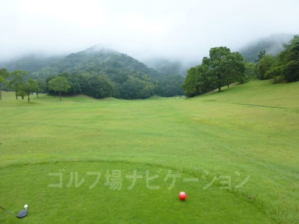 Kochi黒潮カントリークラブ 暖流コース 8番ホール レディースティ