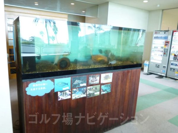 Kochi黒潮カントリークラブ レストラン ランチ
