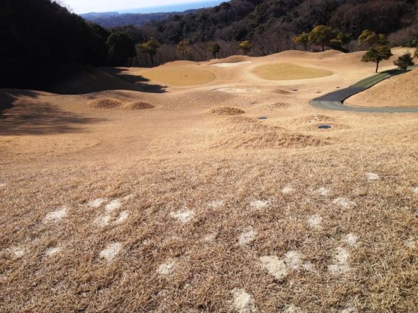 スプリングゴルフ＆アートリゾート淡路 IN 15番ホール